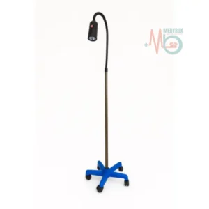 Gynecological-Examination-light.webp