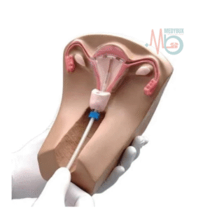 1 / 1 – _Advanced IUD Training Delux Model.png