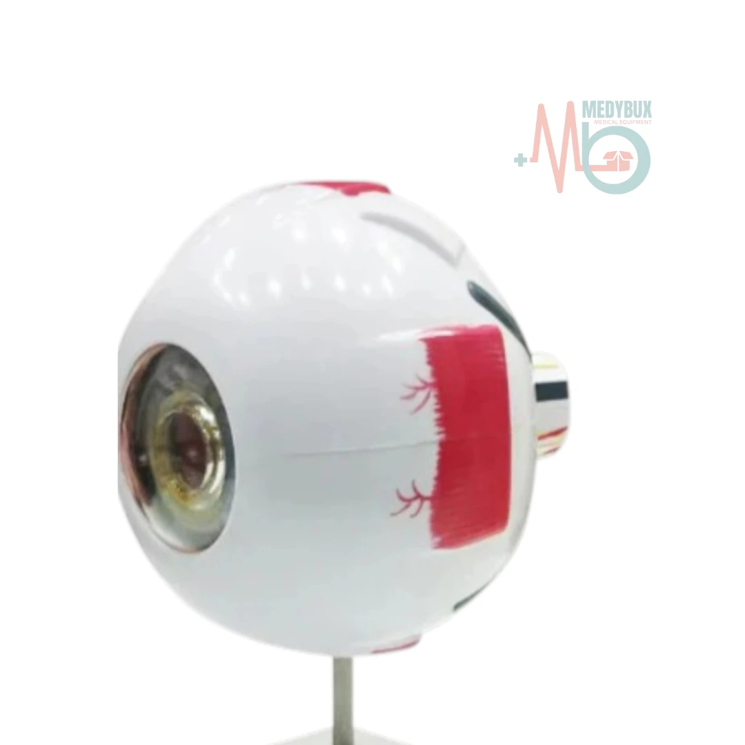 Giant Eye Delux Model - Image 2