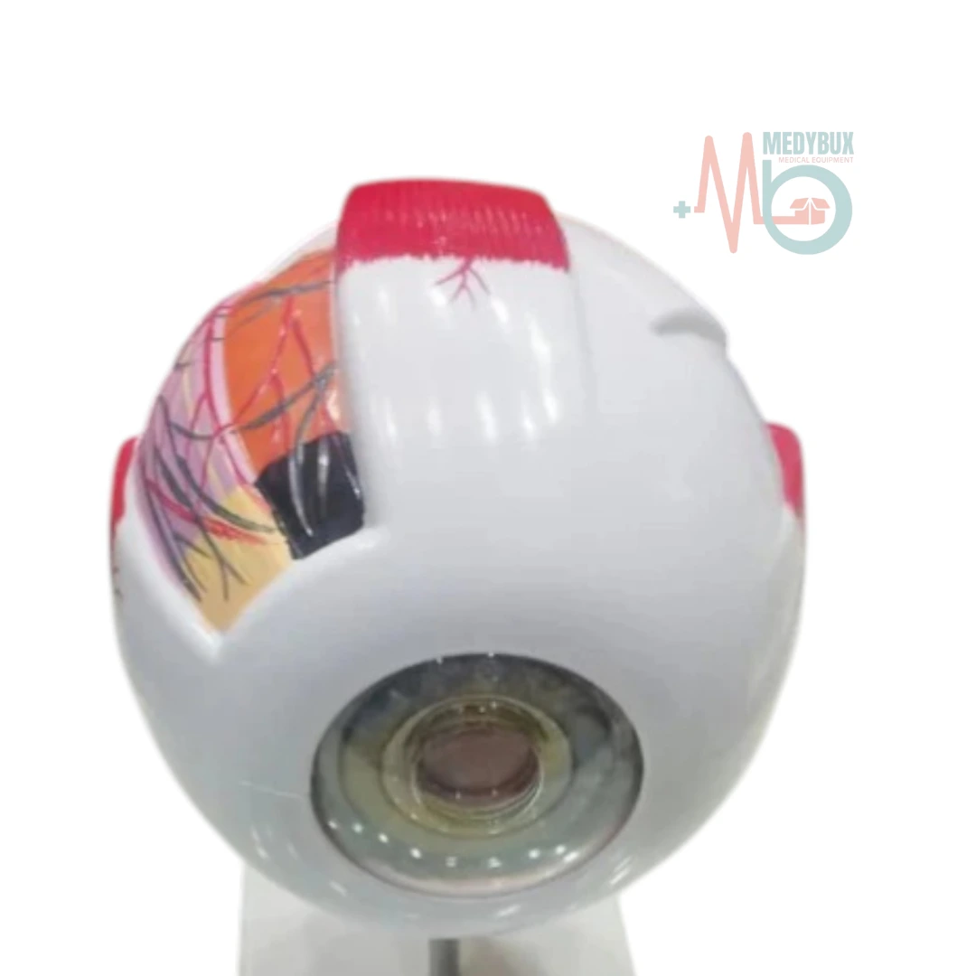 Giant Eye Delux Model - Image 3