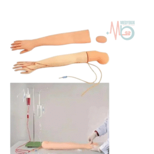 1 / 2 – Multifunctional Adult IV Training Arm Model (1).png