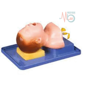 1 / 1 – PVC Neonate Intubation Model.png